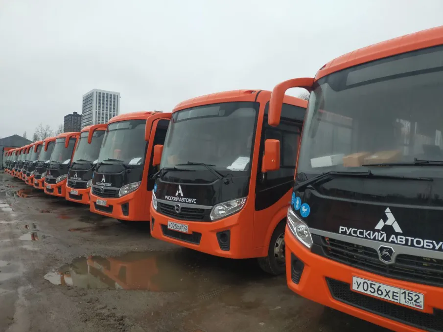 Еще 50 новых автобусов поступило в Нижний Новгород